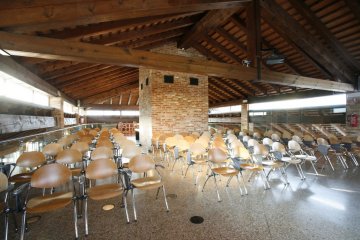 Platea