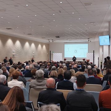 Platea